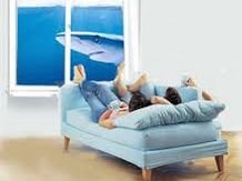 ������������� ����