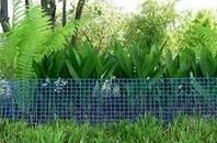 ����������� �������� �����