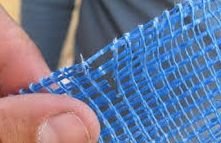 ����������� �������� �����