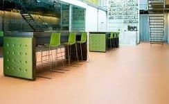 ��� ���� ������. ������ �������� �� �������