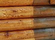 ������ ���������