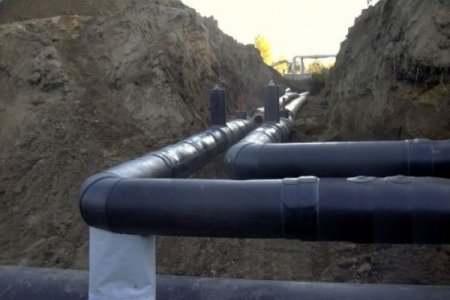 ��� ������ ����� ��� ��� �������� ����������?