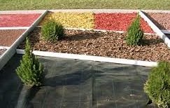 ����������� � ����������� �������������