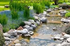 ����������� � ����������� �������������