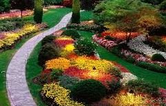 ����������� ������, ������� ������������ ���� �������