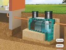 ������ ����