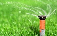 ��� ��������� �� �������?