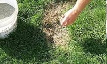 ��� ��������� �� �������?