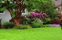 ��� ��������� �� �������?