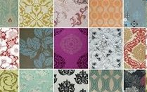 ��� ��������� ��������� ����