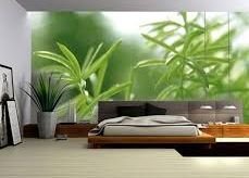 ����� ����� ��� ����