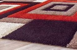 ���� ���������