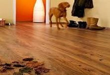 ������������ �������