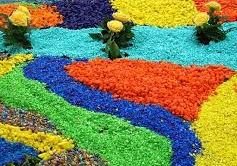 ������������ ������� ����