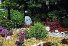 ������������ ������� ����