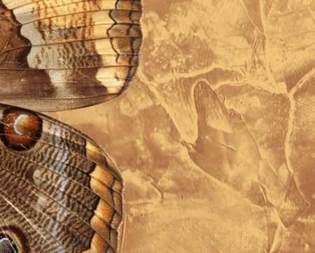 ������������ ����������. ����� �� ��� ����