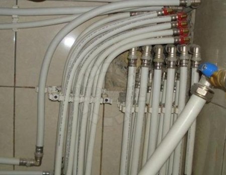 ����� ����� �������� ��� ���������