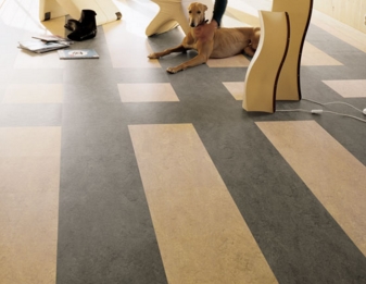 ������� � ������������ ������������ ���������