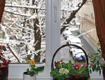 ��������� ����������� ���� �����