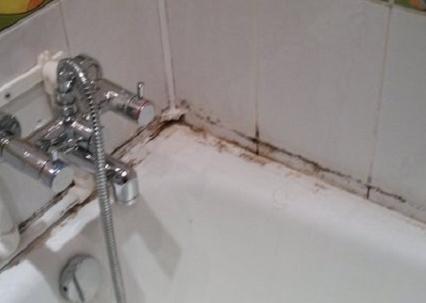 Борьба с плесенью Борьба с плесенью