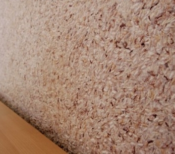 ��� �� ������ � ������ �����?