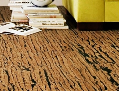 ��������� ��������� ��������: ����������� � ����������