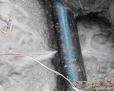 ��� ������ ���������� ����� ���� ����?