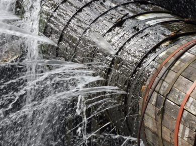 ��� ������ ���������� ����� ���� ����?