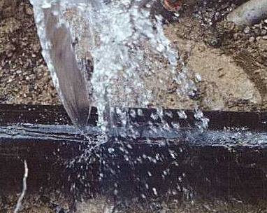 ��� ������ ���������� ����� ���� ����?