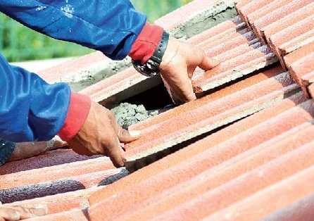 ������ ������ ������������ ������