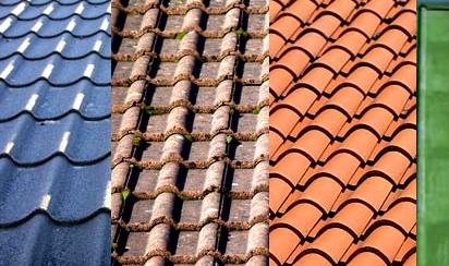 ��� ������� ����� ����? ���� ���������� ��������