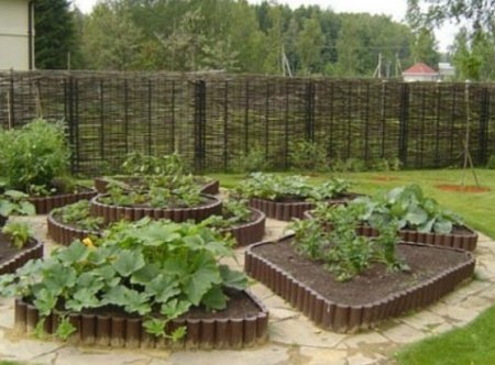 ��� �������� ��������� �������