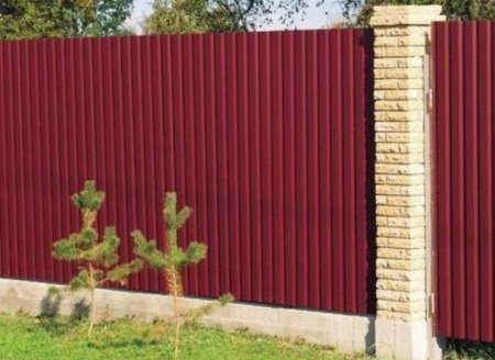 ������������� ��� ������