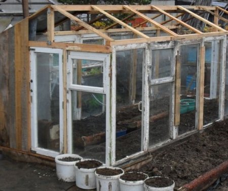 ��� ������� ������� ������ ������