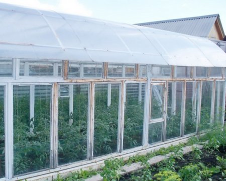 ��� ������� ������� ������ ������