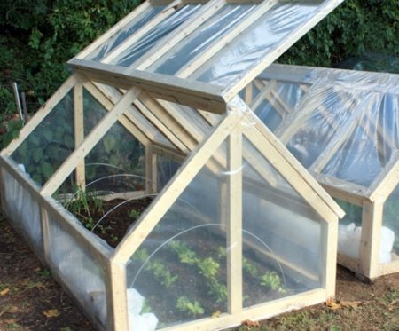 ��� ������� ������� ������ ������