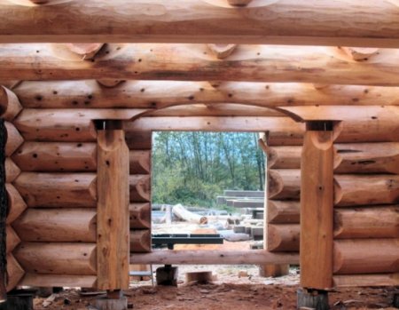 ��� ������ ������ ��������� �������� ����������� ����� ����