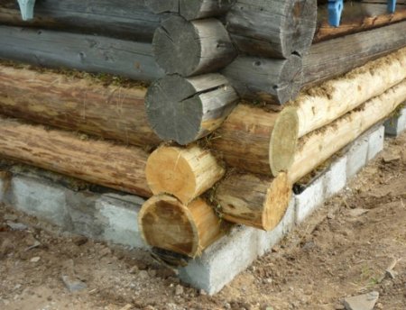 ��� ����� ��������� ����������� ����?