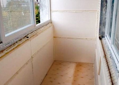 ��� ����� �������� ������