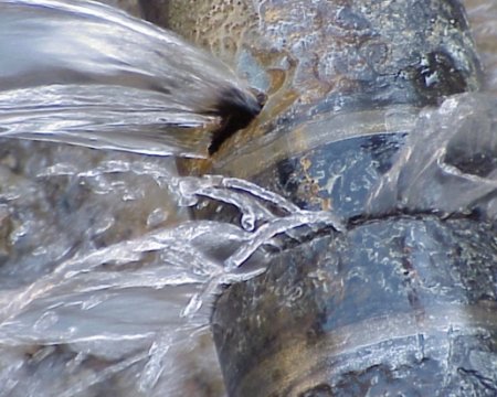 ��� ������ ���������� ����� ���� ����?