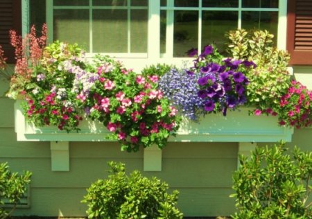 �������� ���� � ���������� ����