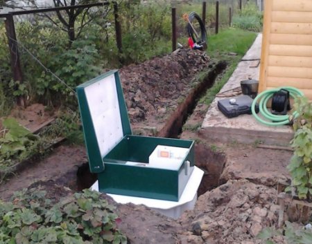 ���� ���������� �����������