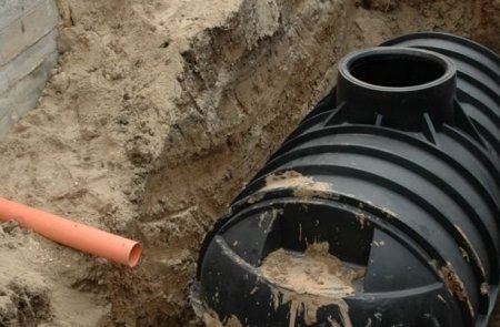 ���� ���������� �����������