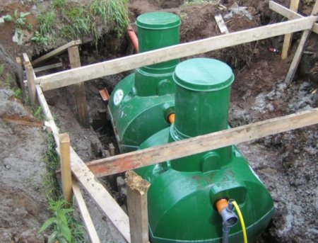 ���� ���������� �����������