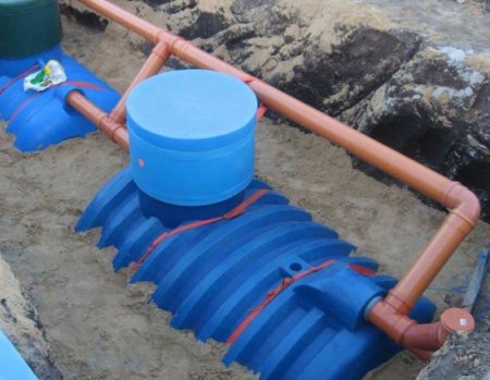 ���� ���������� �����������