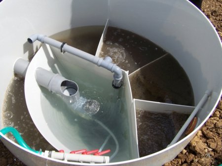 ���� ���������� �����������