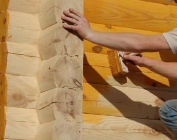 Как защитить древесину - советы профи