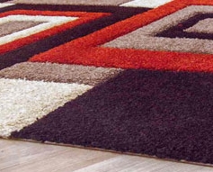 ���� �������� ��������