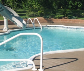 ������������ ��������