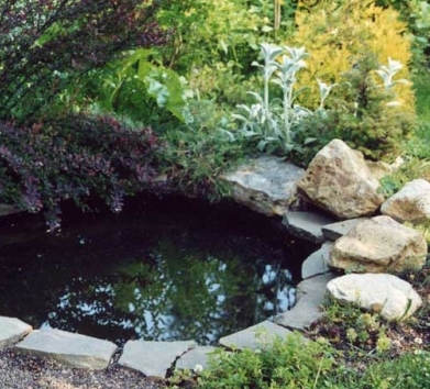 ���������� ������������� �����